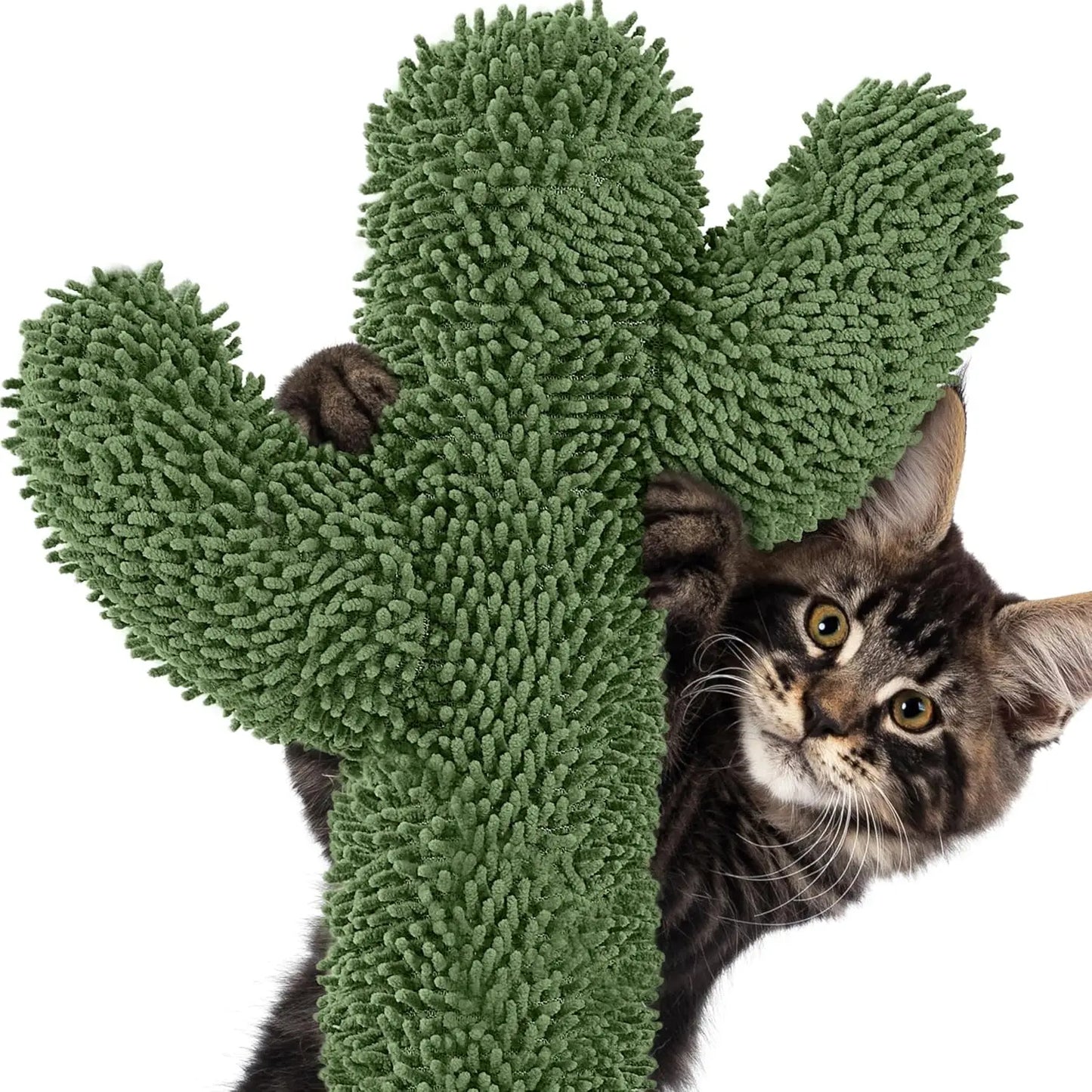 Indoor Cat Tree With Scratching Posts Hammock And Dangling Ball