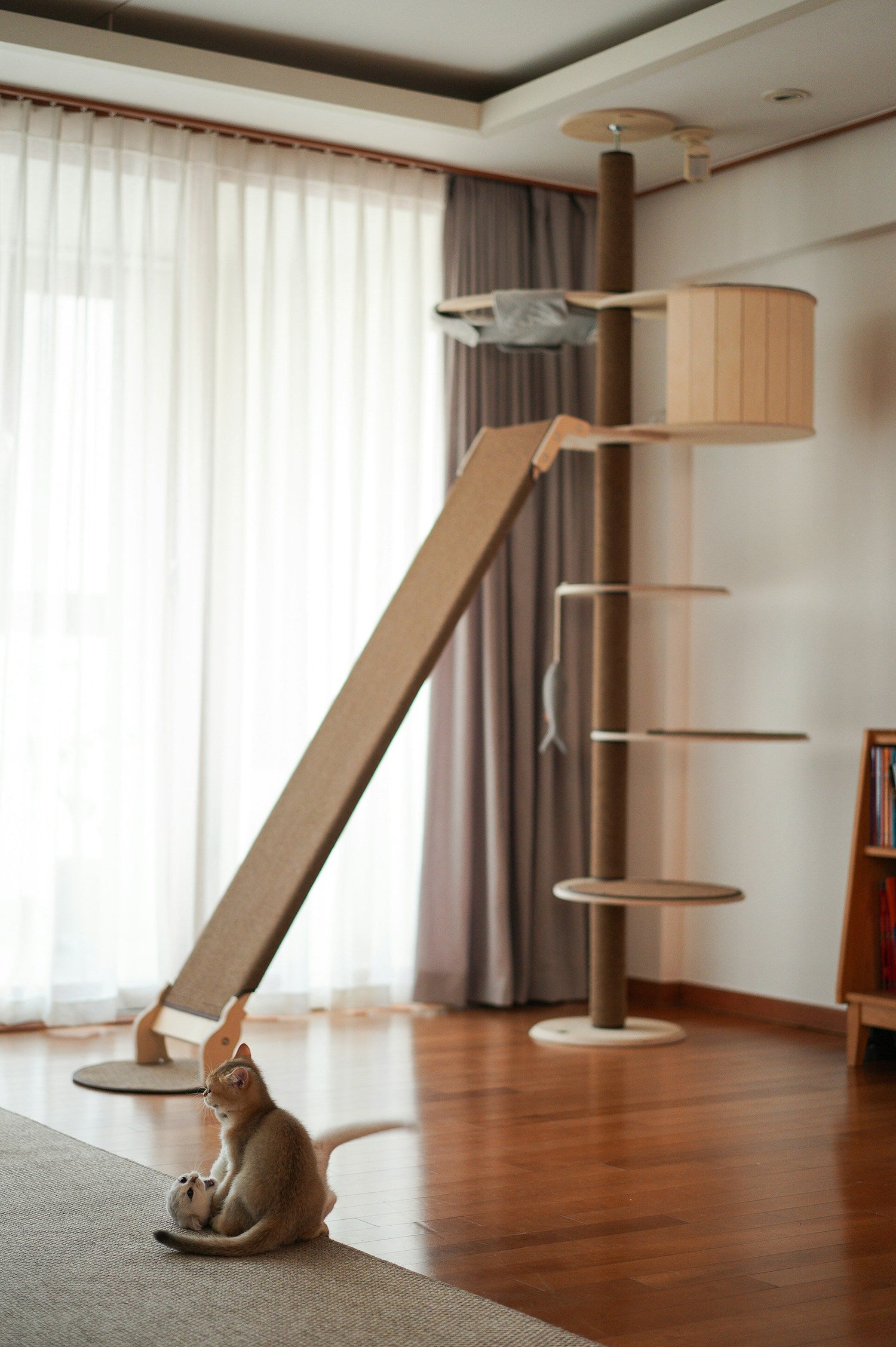 Beds & Cat Trees