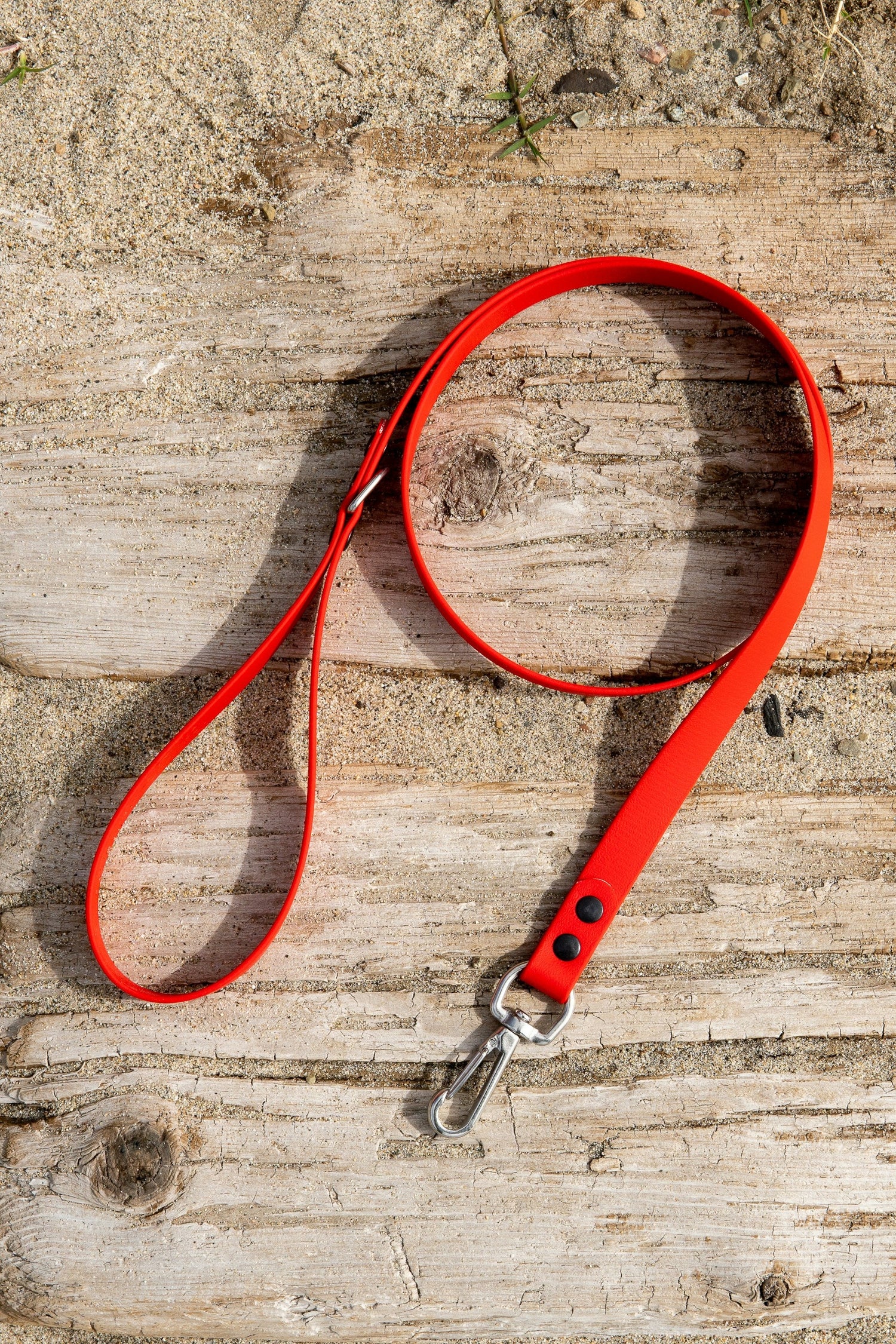 Leashes