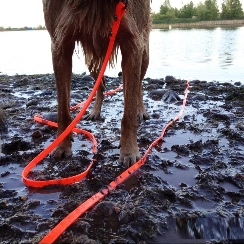 Waterproof Dog Leash PVC Pet Leash for All Breeds Walking