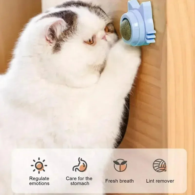 Catnip Balls for Cats Lickable Chew and Teeth Cleaning Toy