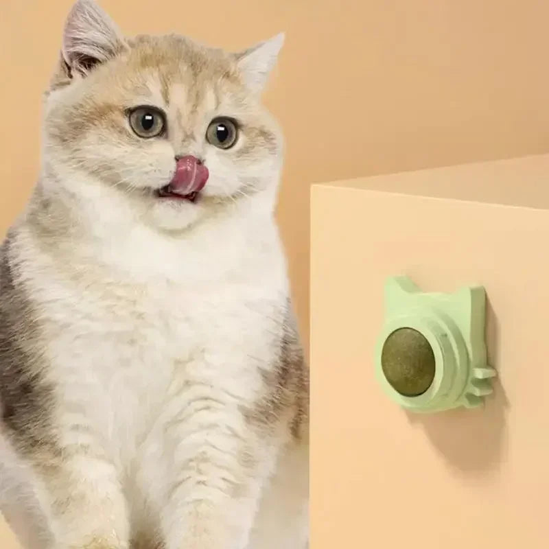 Catnip Balls for Cats Lickable Chew and Teeth Cleaning Toy