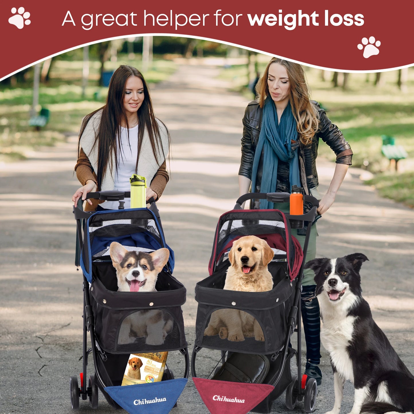 Chihuahua Pet Stroller For Small Cats And Dogs 3 Wheels