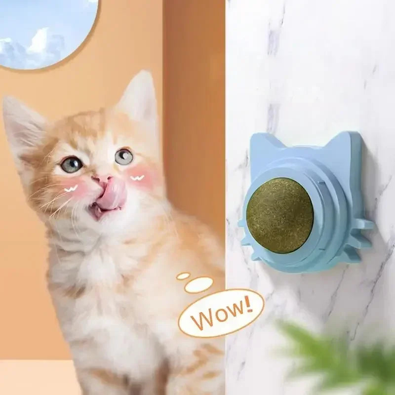 Catnip Balls for Cats Lickable Chew and Teeth Cleaning Toy