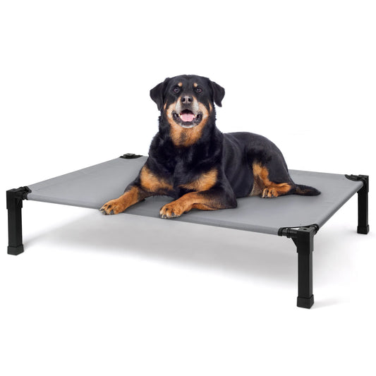 Portable Elevated Dog Bed With Chewproof Mesh And Metal Frame