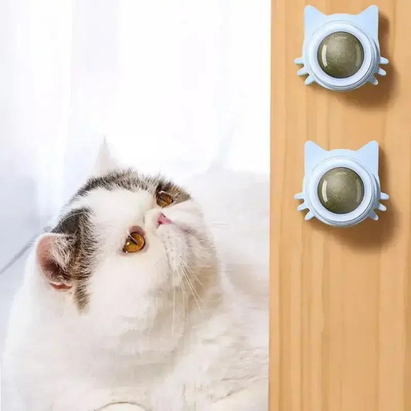 Catnip Balls for Cats Lickable Chew and Teeth Cleaning Toy