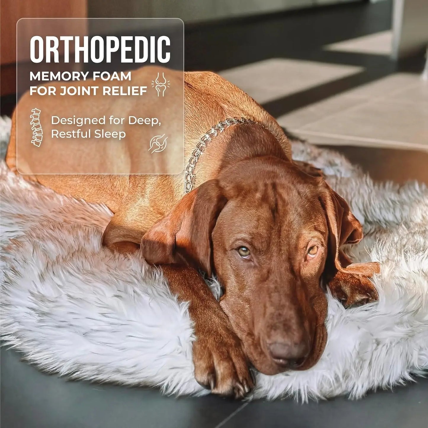 Luxurious Faux Fur Orthopedic Dog Bed With Memory Foam