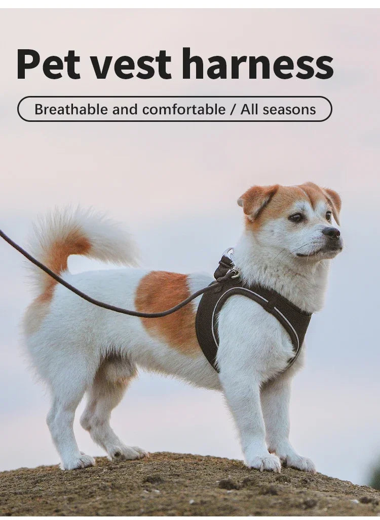Nylon Reflective Dog Harness Leash Set Adjustable For Pets