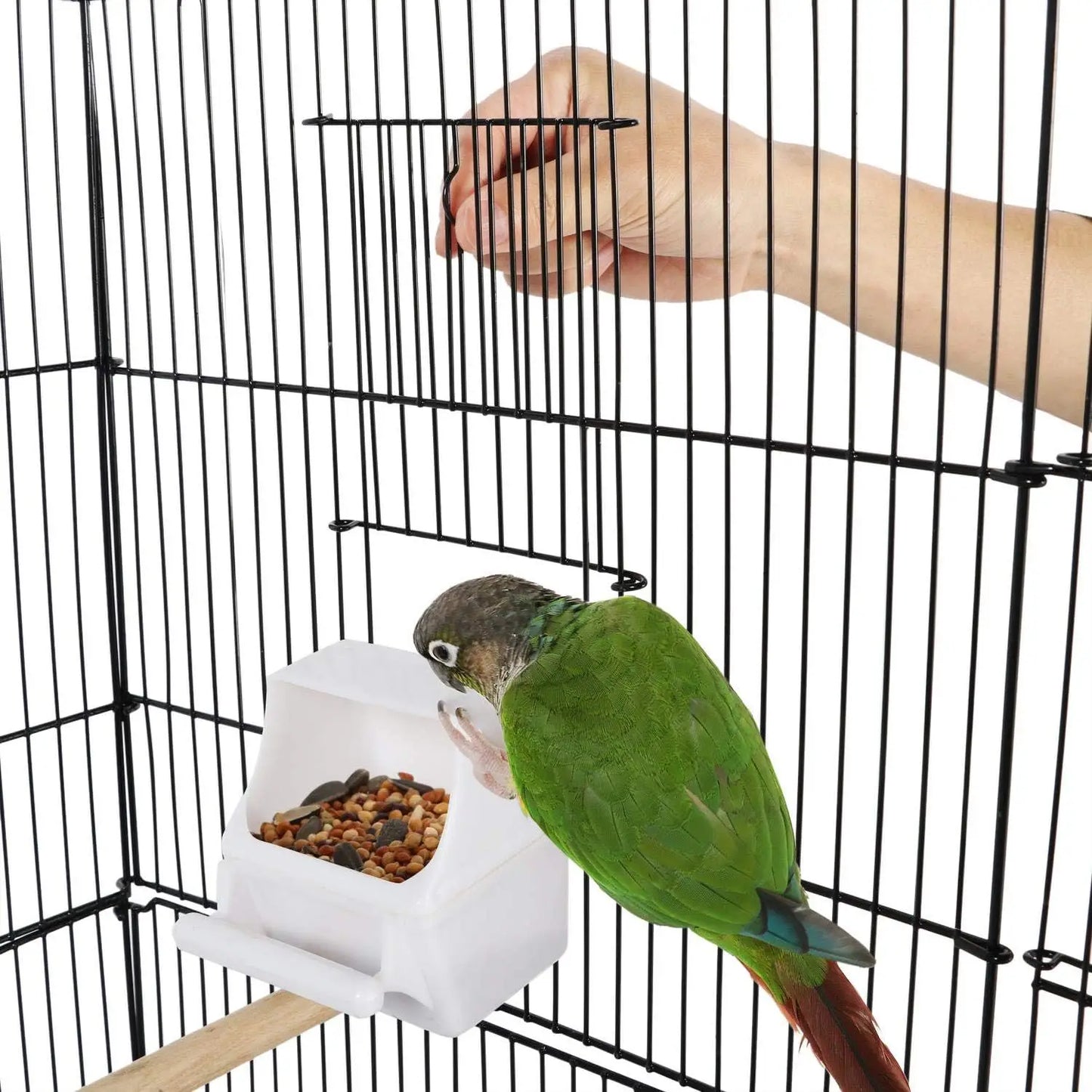 Open Top Bird Cage With Rolling Stand For Parrots Finches