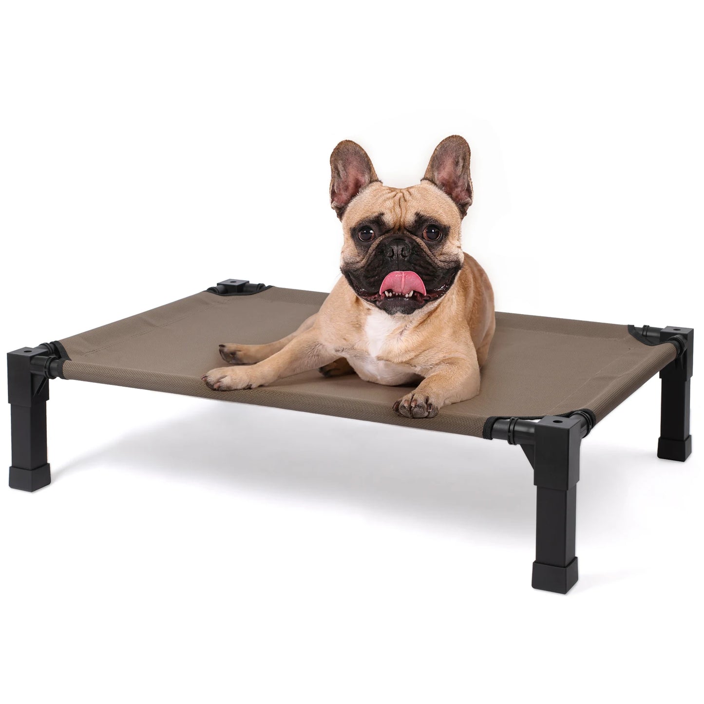 Portable Elevated Dog Bed With Chewproof Mesh And Metal Frame