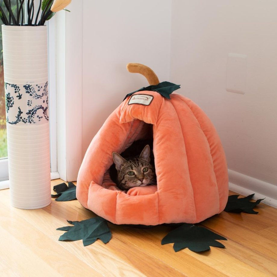 Armarkat Cat Bed Model C85CCS Pumpkin Shape