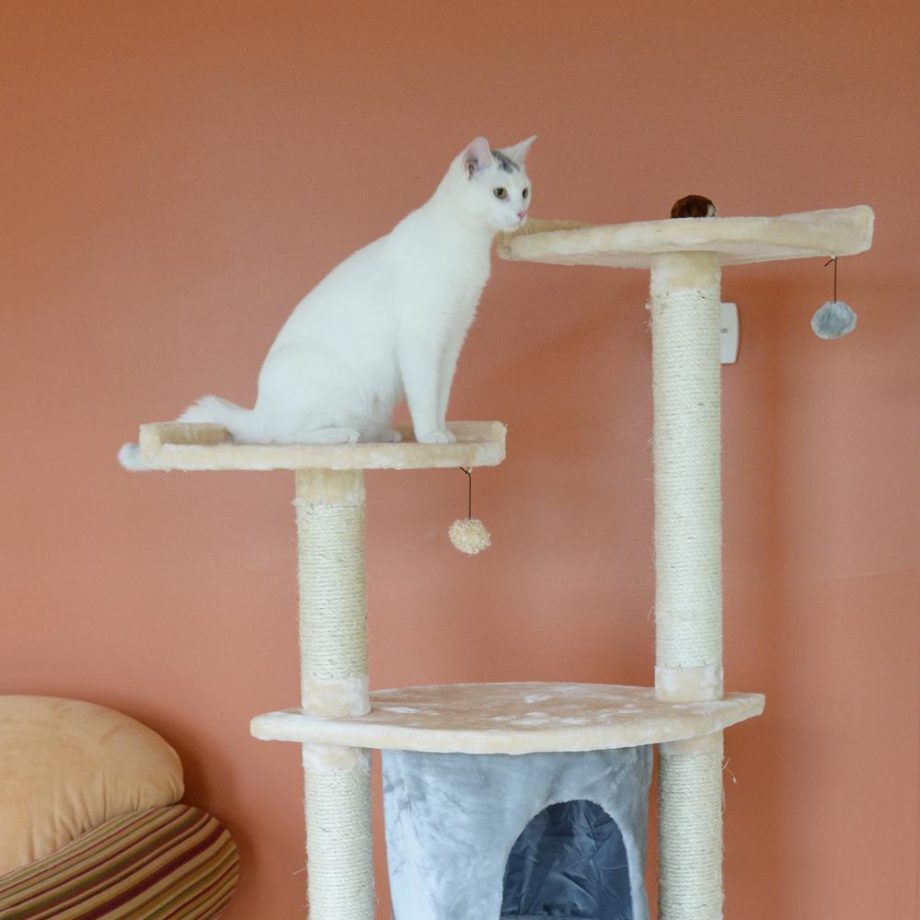 Armarkat 64" Real Wood Cat Tree With Sractch Sisal Post, Soft-side Playhouse, A6401, Almond